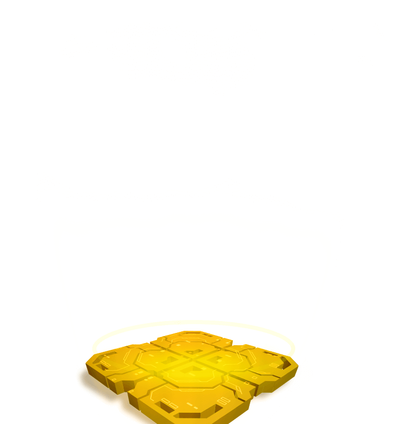 chip